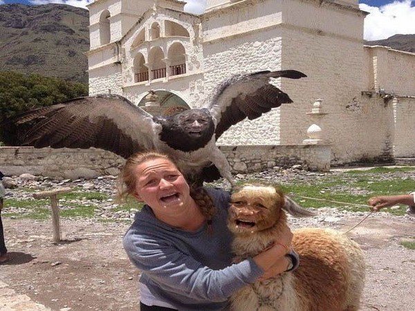 పిచ్చి ముదిరి రచ్చకెక్కింది!!