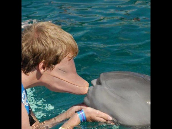 పిచ్చి ముదిరి రచ్చకెక్కింది!!