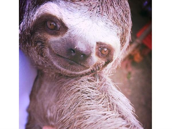 కాస్కోండి..సెల్ఫీ అంటే మాదే!!