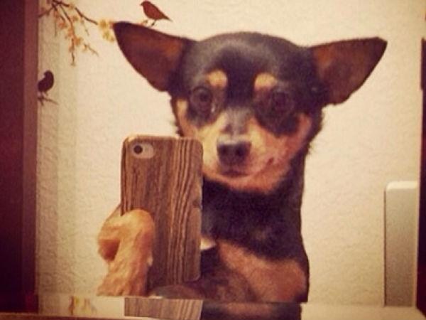 కాస్కోండి..సెల్ఫీ అంటే మాదే!!