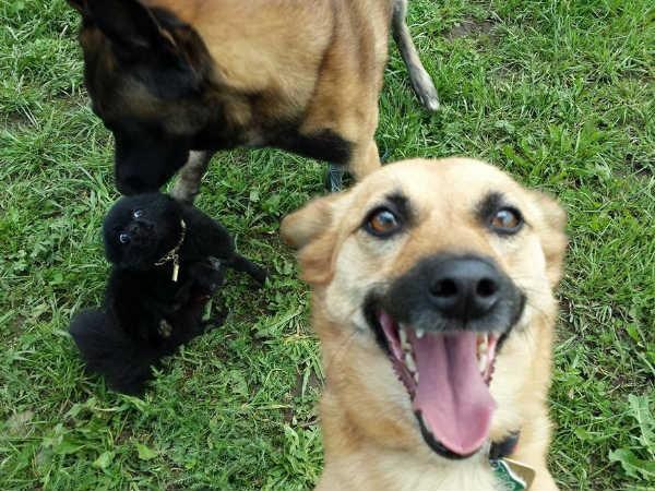 కాస్కోండి..సెల్ఫీ అంటే మాదే!!