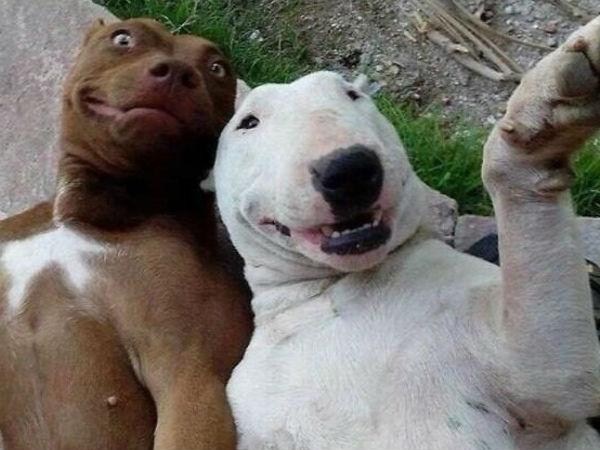 కాస్కోండి..సెల్ఫీ అంటే మాదే!!