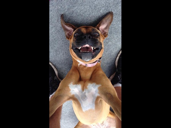 కాస్కోండి..సెల్ఫీ అంటే మాదే!!