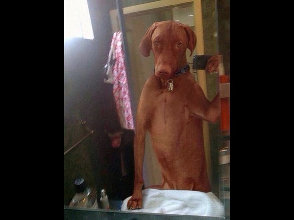 కాస్కోండి..సెల్ఫీ అంటే మాదే!!