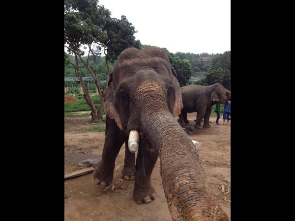 కాస్కోండి..సెల్ఫీ అంటే మాదే!!