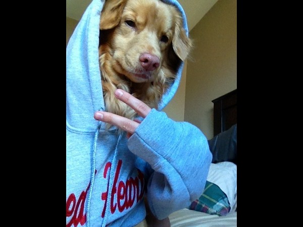 కాస్కోండి..సెల్ఫీ అంటే మాదే!!