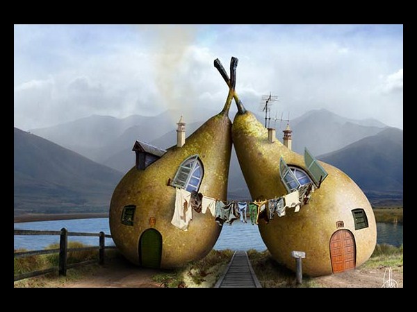 ఒక్క ఫోటో...ఎన్నో అద్భుతాలు!