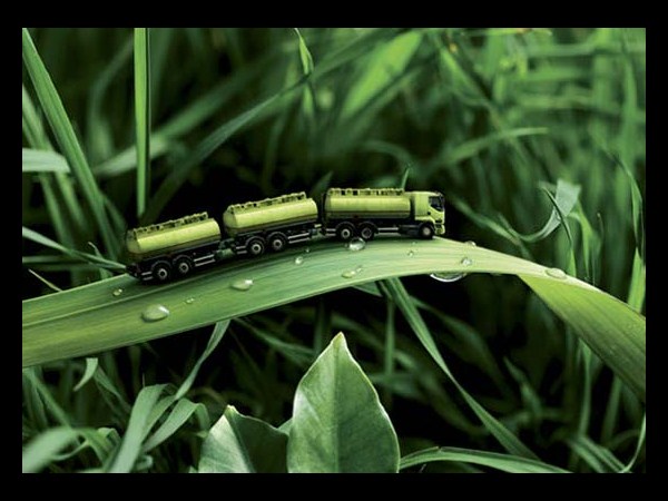 ఒక్క ఫోటో...ఎన్నో అద్భుతాలు!