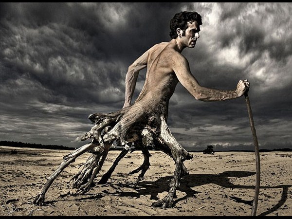 ఒక్క ఫోటో...ఎన్నో అద్భుతాలు!