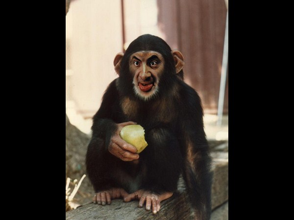 ఒక్క ఫోటో...ఎన్నో అద్భుతాలు!