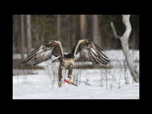 సోషల్ మీడియా వినోదాత్మక చిత్రాలు!!