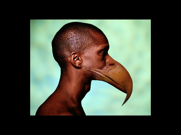 సోషల్ మీడియా వినోదాత్మక చిత్రాలు!!