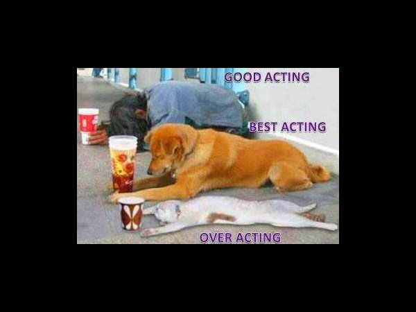 సోషల్ మీడియా వినోదాత్మక చిత్రాలు!!