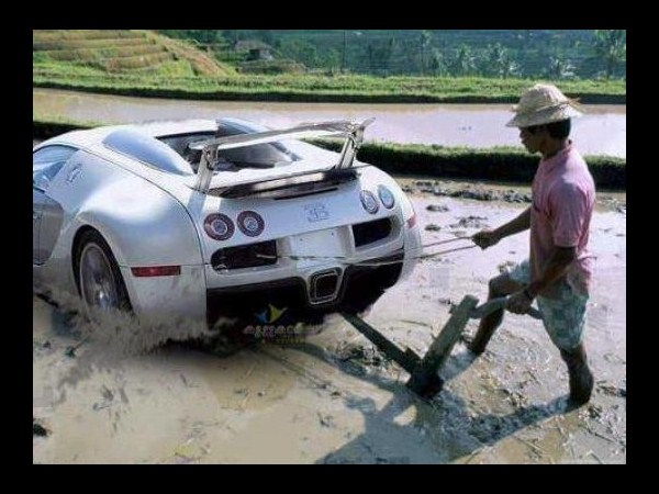 సోషల్ మీడియా వినోదాత్మక చిత్రాలు!!