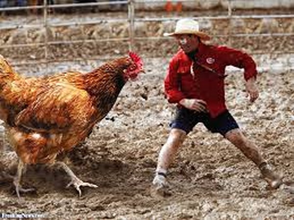 ఫోటోగ్రఫీ కనికట్టు మాయ!!