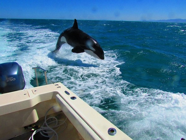 ఉత్తమ ఫోటోగ్రాఫర్లు.. అత్యుత్తమ చిత్రాలు