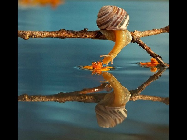 ఉత్తమ ఫోటోగ్రాఫర్లు.. అత్యుత్తమ చిత్రాలు