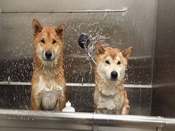 సోషల్ మీడియా సంచలనాత్మక చిత్రాలు!!