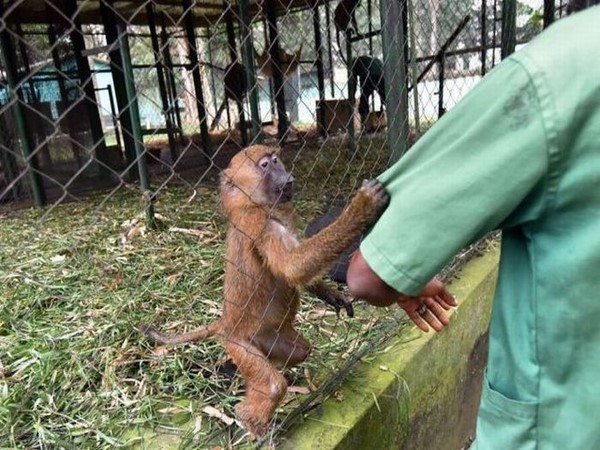 సోషల్ మీడియా సంచలనాత్మక చిత్రాలు!!