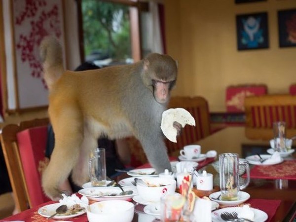 సోషల్ మీడియా సంచలనాత్మక చిత్రాలు!!