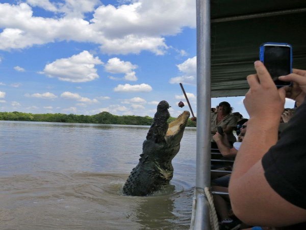 సోషల్ మీడియా సంచలనాత్మక చిత్రాలు!!