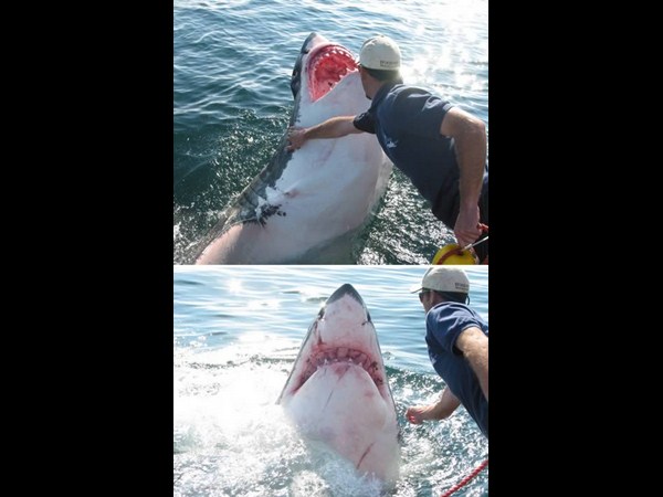 షాకింగ్ స్టోరీలు@సోషల్ మీడియా