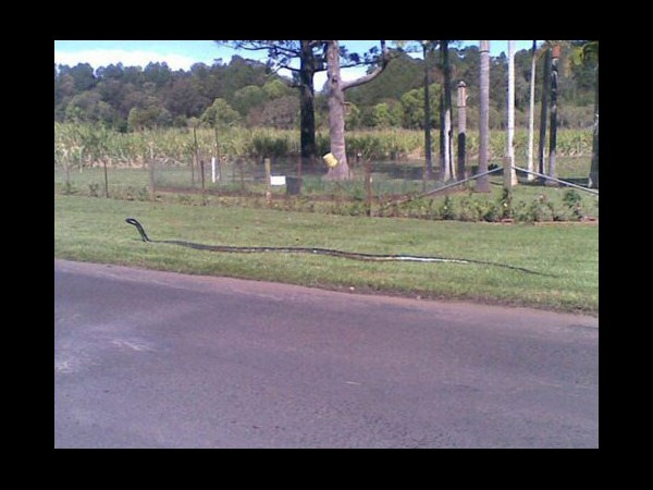 జోరుగాహుషారుగా@సోషల్ మీడియా