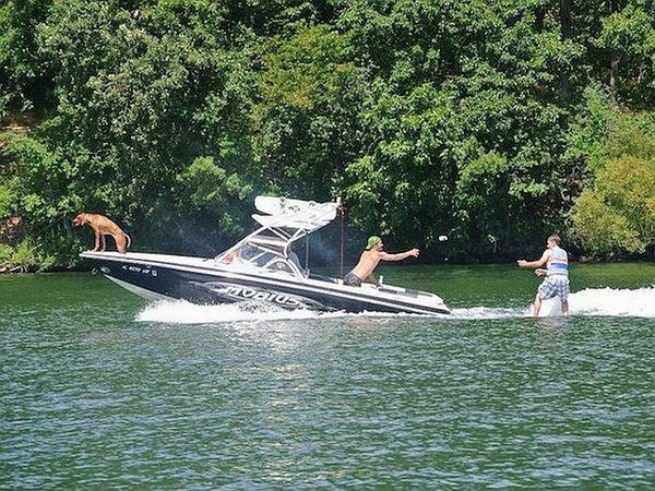 జోరుగాహుషారుగా@సోషల్ మీడియా