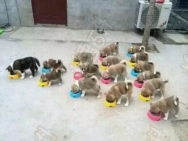 జోరుగాహుషారుగా@సోషల్ మీడియా