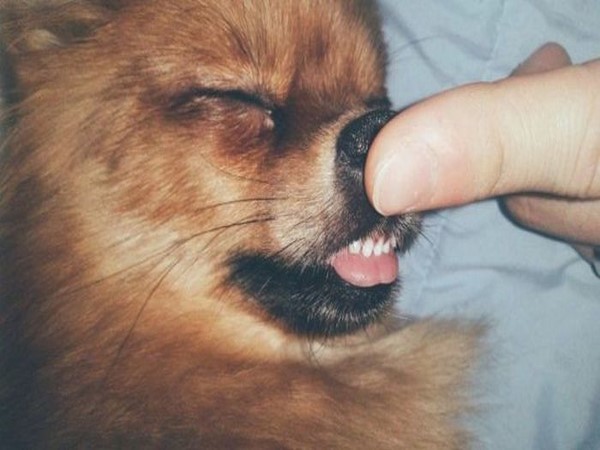 జోరుగాహుషారుగా@సోషల్ మీడియా