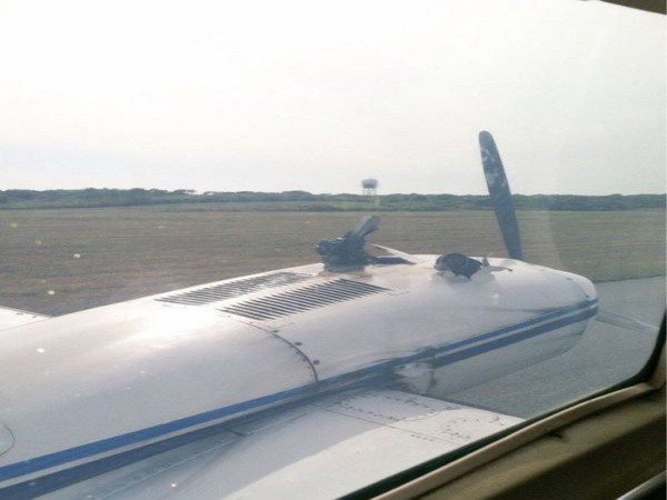 జోరుగాహుషారుగా@సోషల్ మీడియా