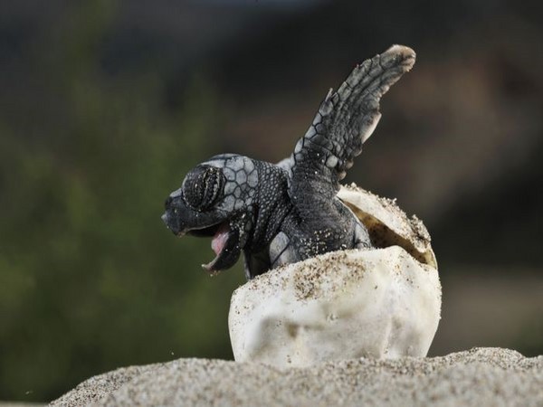 జోరుగాహుషారుగా@సోషల్ మీడియా