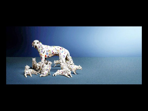 ఫోటో చెప్పిన అద్భుతాలు!!