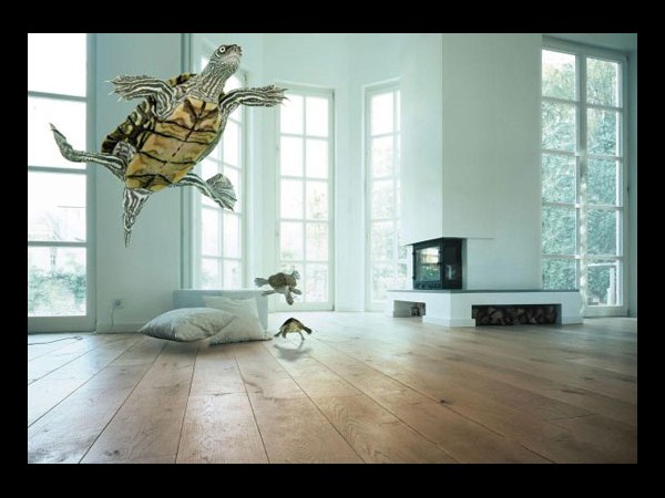 ఫోటో చెప్పిన అద్భుతాలు!!