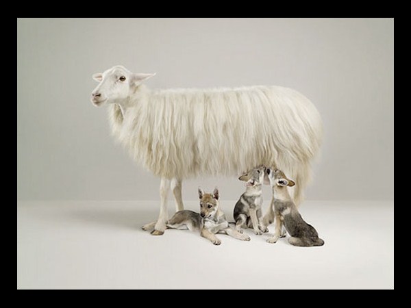 ఫోటో చెప్పిన అద్భుతాలు!!