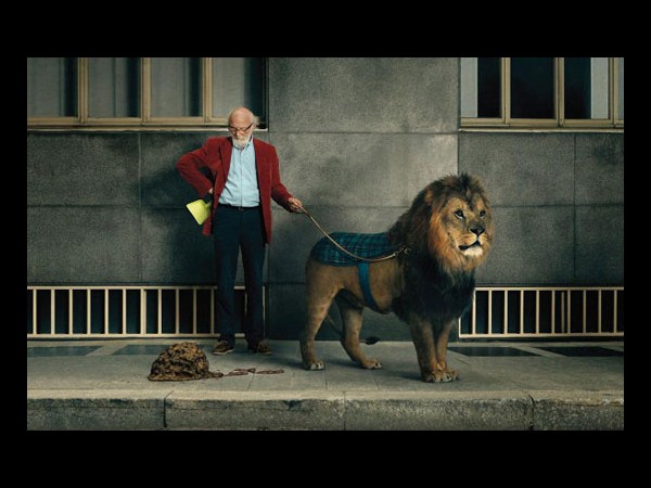 ఫోటో చెప్పిన అద్భుతాలు!!