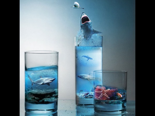 ఫోటో చెప్పిన అద్భుతాలు!!