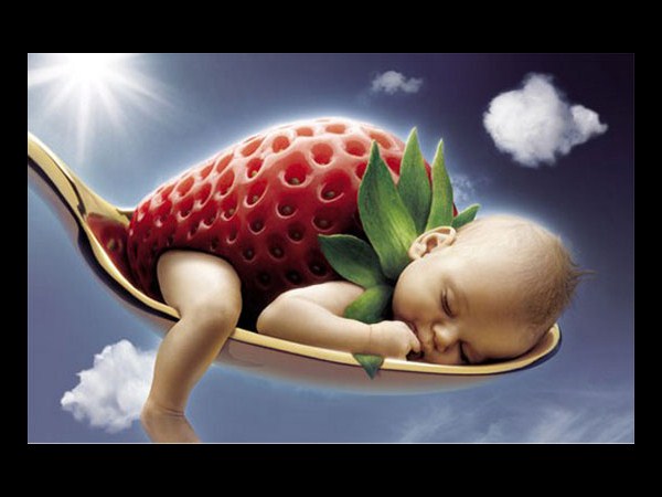 ఫోటో చెప్పిన అద్భుతాలు!!