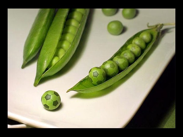 ఫోటో చెప్పిన అద్భుతాలు!!