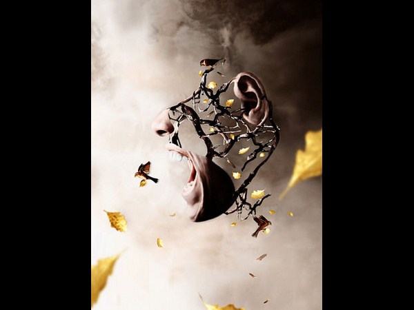 ఫోటో చెప్పిన అద్భుతాలు!!