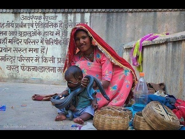 సంస్కృతుల సమ్మేళనమే సోషల్ మీడియా!!