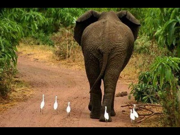 సంస్కృతుల సమ్మేళనమే సోషల్ మీడియా!!