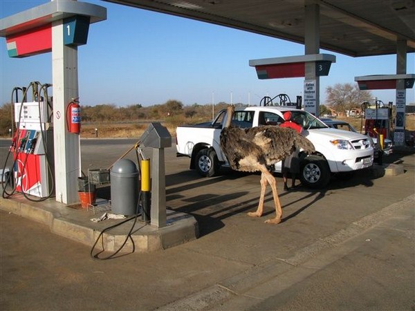 సంస్కృతుల సమ్మేళనమే సోషల్ మీడియా!!