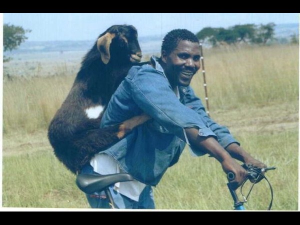 సంస్కృతుల సమ్మేళనమే సోషల్ మీడియా!!