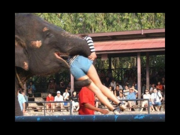 వేడి వేడి ఎంటర్‌టైన్‌మెంట్