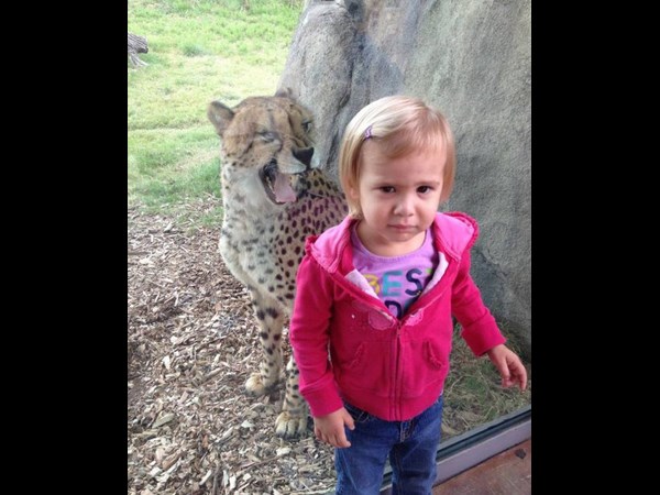 వేడి వేడి ఎంటర్‌టైన్‌మెంట్