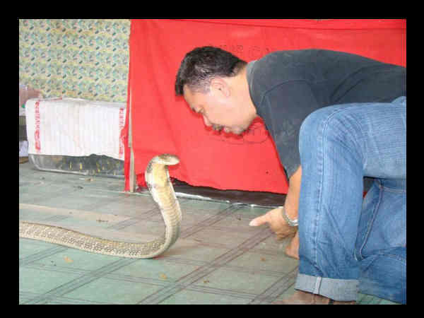 వేడి వేడి ఎంటర్‌టైన్‌మెంట్