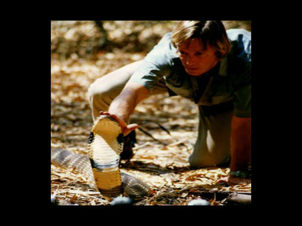 వేడి వేడి ఎంటర్‌టైన్‌మెంట్