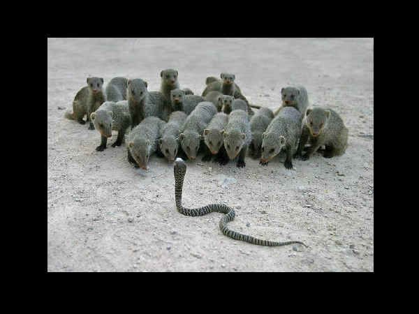 వేడి వేడి ఎంటర్‌టైన్‌మెంట్