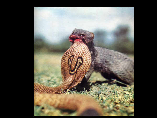 వేడి వేడి ఎంటర్‌టైన్‌మెంట్